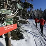 City Hotel Suhl 4* Suhl