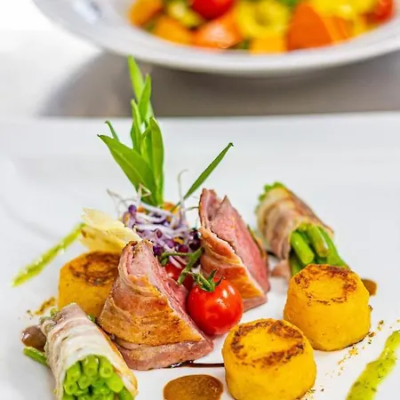 City Hotel Suhl 4* ズール